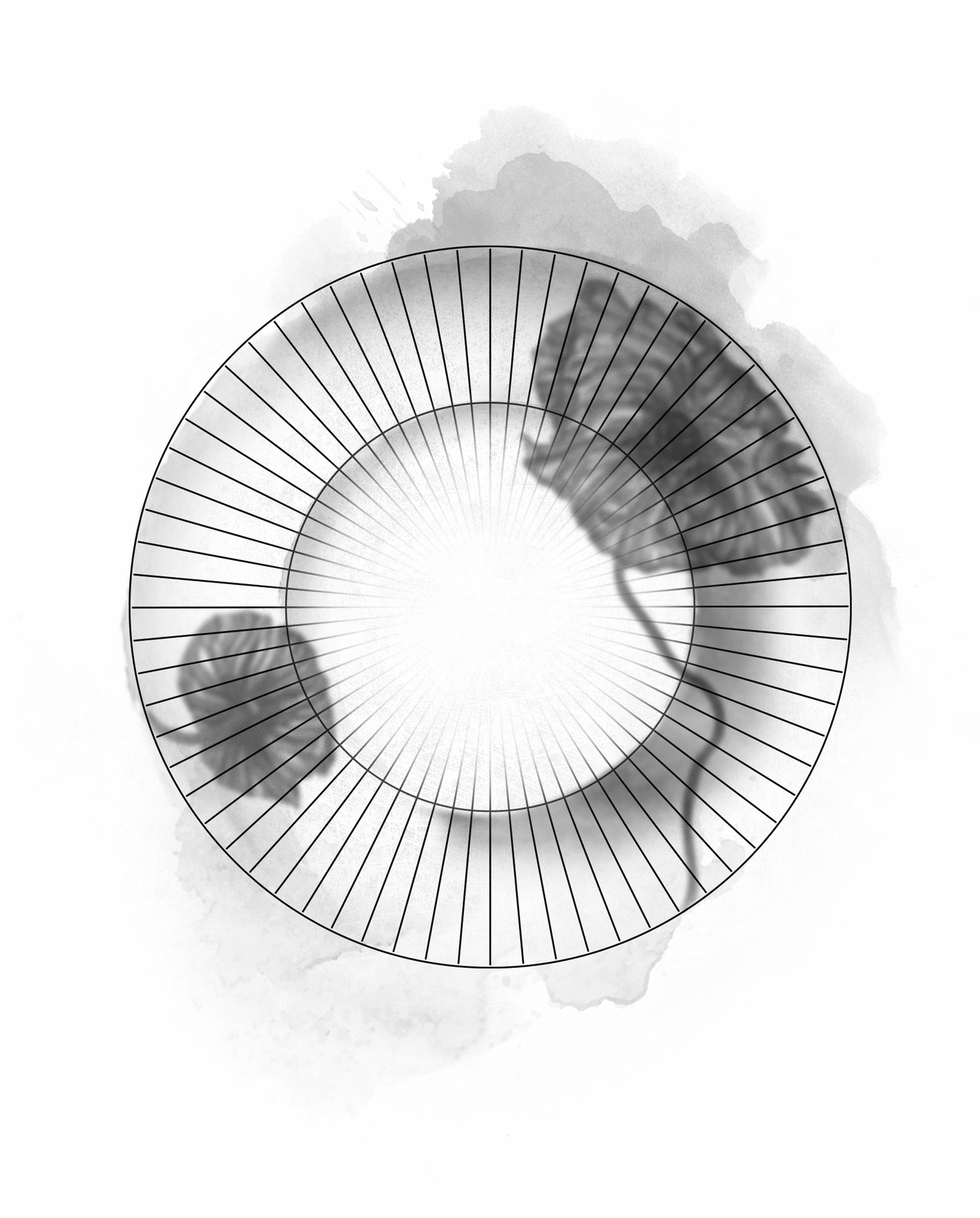 Soup plate Ø21 cm